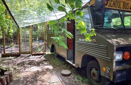 Belfair Casa | The Wanderbus in Elfendahl forest.