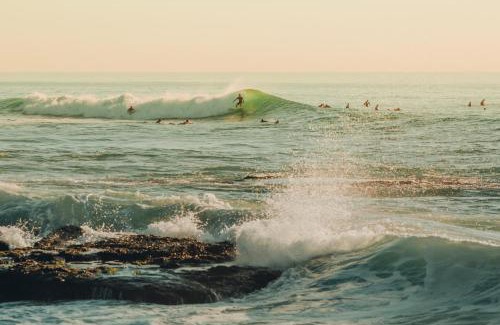 Beach Barber Tract Casa | The Wavehouse Walk To Beach Yard Bird Rock