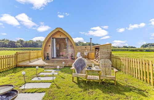 Wells Casa | The West Front, Cathedral View