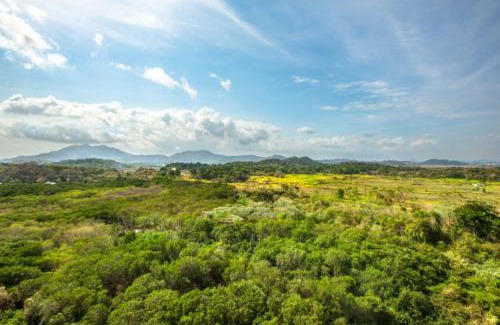 Playa Bonita Village Hotel | The Westin Playa Bonita Panama