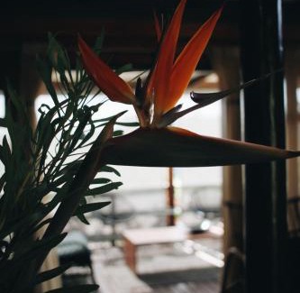 Knysna Apartamento | The Wild Edge Last Light Cottage