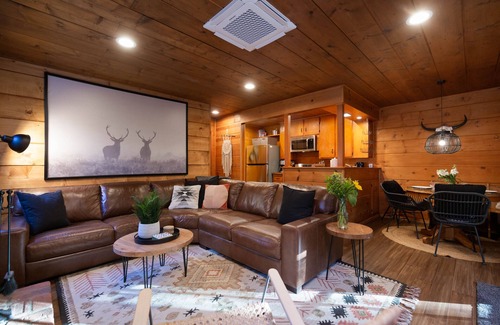 Pine Cove Cabina | The Wile Cabin with Spa, Fireplace *Pet Friendly