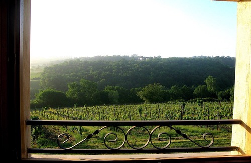 Saussignac Casa | The Wine Lodge, eco-lujo en un viñedo orgánico con piscina.