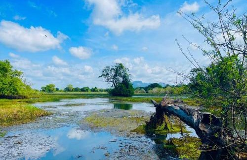 Palugaswewa Complejo | The Wish Lake Resort