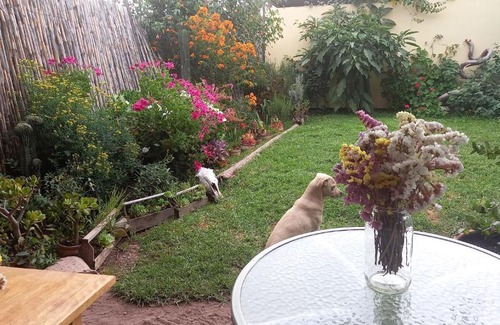 Urubamba Casa | The Witch’s Cottage