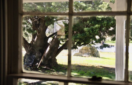Tenterfield Cabaña | The Workers Cottage, a lovingly restored historic home in Tenterfield