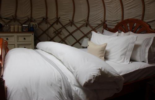 Upper Harbledown Otro | The Yurt at Worcesters Farm