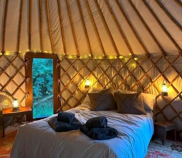 Cardigan Otro | The Yurt @ Penbanc Pasture