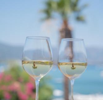 Poros Hotel | Theano Hotel