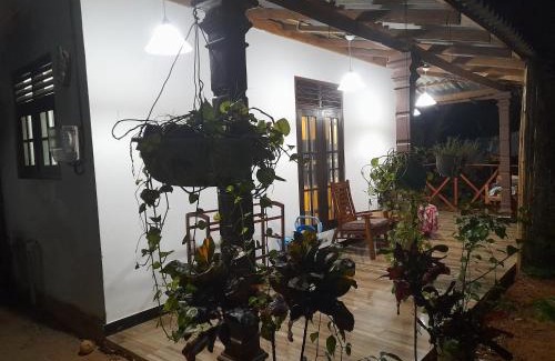 Hikkaduwa Hotel | Thenu villa