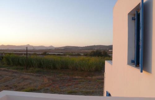 Milos Casa | Theophili