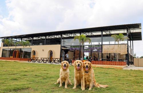 Anekal Complejo | Therpup Resort