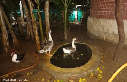 Tiruvannamalai Casa | Thiru Nakshatra Family Guest House