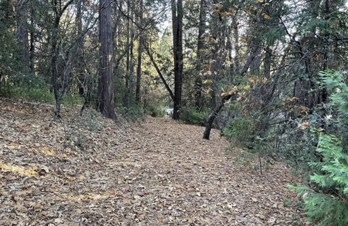 Sonora Alquiler De RV | Luxurious Accommodations provides the ultimate experience at 1-A Forest Lake Rd.