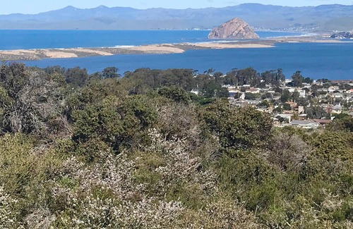Baywood-Los Osos Casa | This house is a 3 bedroom(s), 2 bathrooms, located in Baywood-Los Osos, CA.