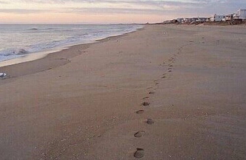 Croatan Beach Casa | This is the ONE! Book NOW for a perfect family vacation!