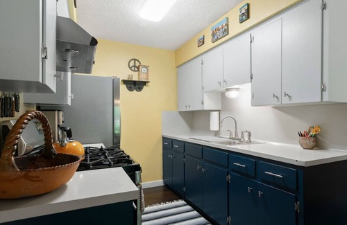 South Manchaca Casa | This Little Piggie Went to Austin
