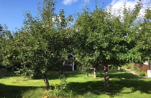 Sodersvik Casa | This vacation home near Åkeröfjärden welcomes you with a large, flowery garden.