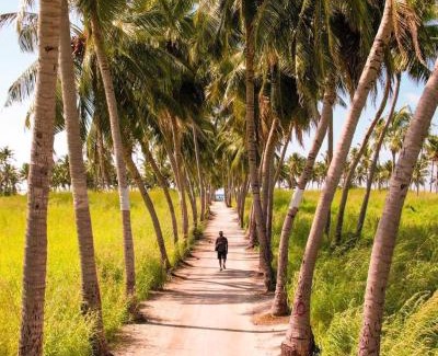 Thoddoo Casa | Thoddoo Cozy Stay