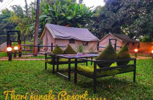 Nepal Complejo | Thori Jungle Resort, chitwan National park