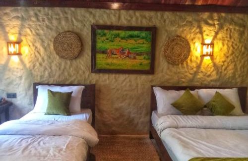 Nepal Complejo | Thori Jungle Resort, chitwan National park