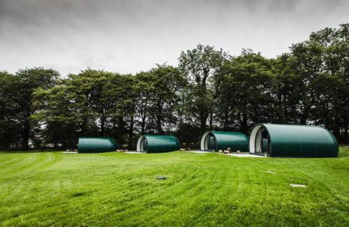 Ballymoney Otro | Thornfield Farm Luxury Glamping Pods, The Dark Hedges, Ballycastle