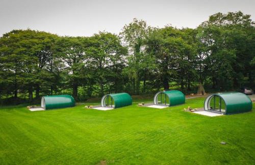 Ballymoney Otro | Thornfield Farm Luxury Glamping Pods, The Dark Hedges, Ballycastle