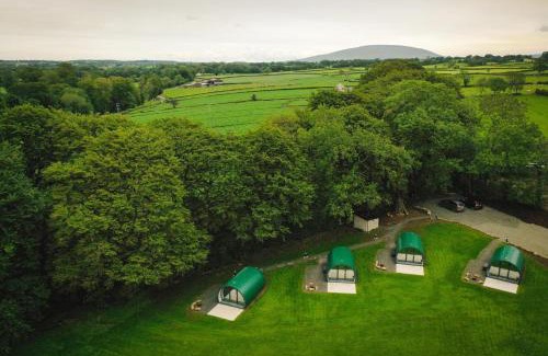 Ballymoney Otro | Thornfield Farm Luxury Glamping Pods, The Dark Hedges, Ballycastle