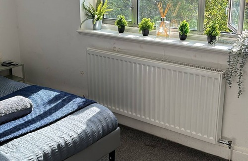 Thornton Apartamento | Thornton Awesome Stay 5