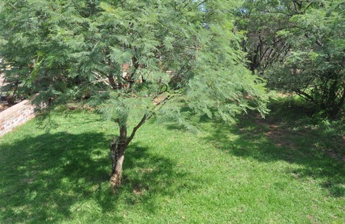 Potchefstroom Cabina | Thorntree Lodge