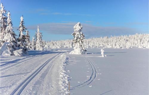 Sjusjoen Casa | Three-Bedroom Holiday Home In Sjusjoen