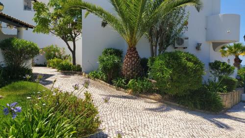 Lagoa Apartamento | Three Palms Apartment