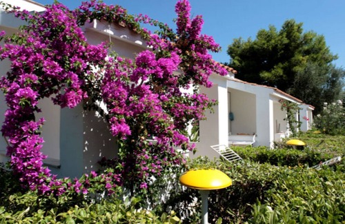 Vieste Complejo | Apartamento de tres habitaciones en residencia - App 1 - con piscina cerca de Vieste, Gargano, Puglia
