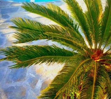 Milatos Beach Casa | Three Waves Maisonettes - Manoussos