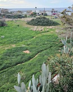 Milatos Beach Casa | Three Waves Maisonettes - Manoussos