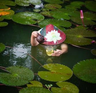 Thai Nguyen Casa | Tiến Yên Farmstay
