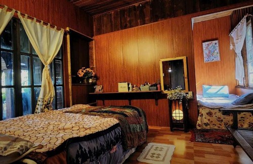 Phuong 10 Cabina | Tiệm cà phê trong rừng mimosa