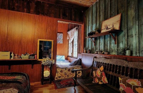 Phuong 10 Cabina | Tiệm cà phê trong rừng mimosa