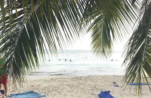 Riviere-Pilote Apartamento | TI PARADIS DE l'ANSE FIGUIER VILLA voir site vacances en martinique