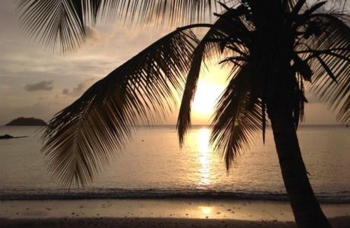 Riviere-Pilote Apartamento | TI PARADIS DE l'ANSE FIGUIER VILLA voir site vacances en martinique