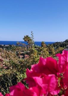 Cavalaire-sur-Mer Apartamento | "TI SABLE" Agréable studio climatisé, Jolie Vue Mer, Piscine à Cavalaire sur Mer Golfe de St-Tropez