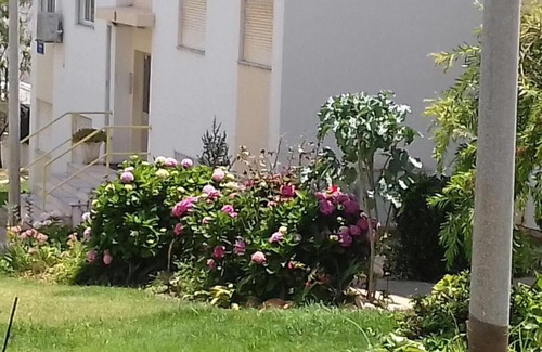 Se Apartamento | Tiagos Apartament