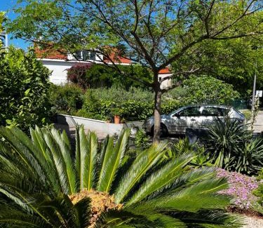 Cove Tri Zala (Zrnovo) Apartamento | Tianri