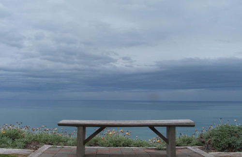 Gisborne Region Apartamento | Tidal Waters LogLodge Studio