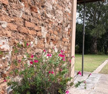 La Cumbre Apartamento | Tierra Aparts