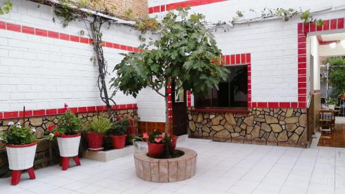 Tarija Cama Y Desayuno | Tierra Nuestra