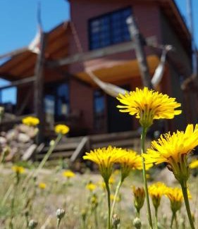 Romeral Cabina | Tierras Bayas Mountain Refuge