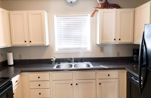 Auburn Condominio | Tiger Paw 1