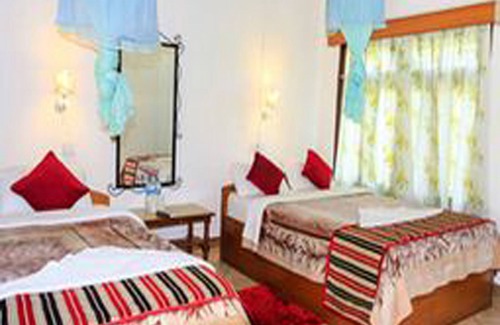 Sauraha Hotel | Tiger Residency Resort