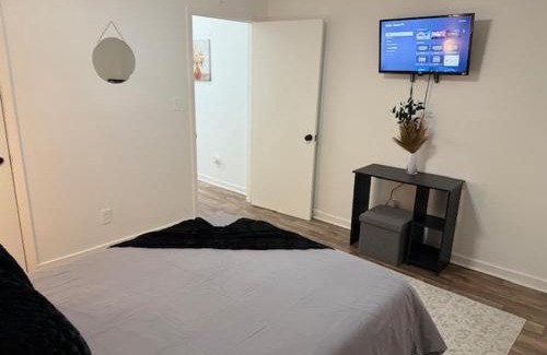 Jackson Casa | Tiger Suites